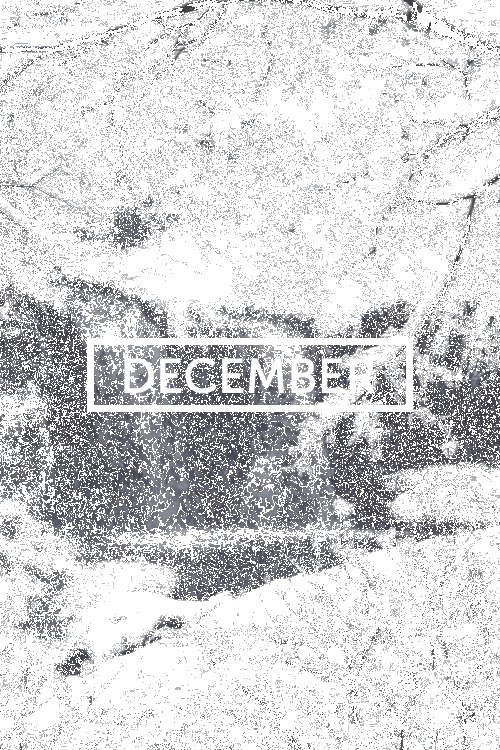 December | © | AOI #december #winter #fall #typography