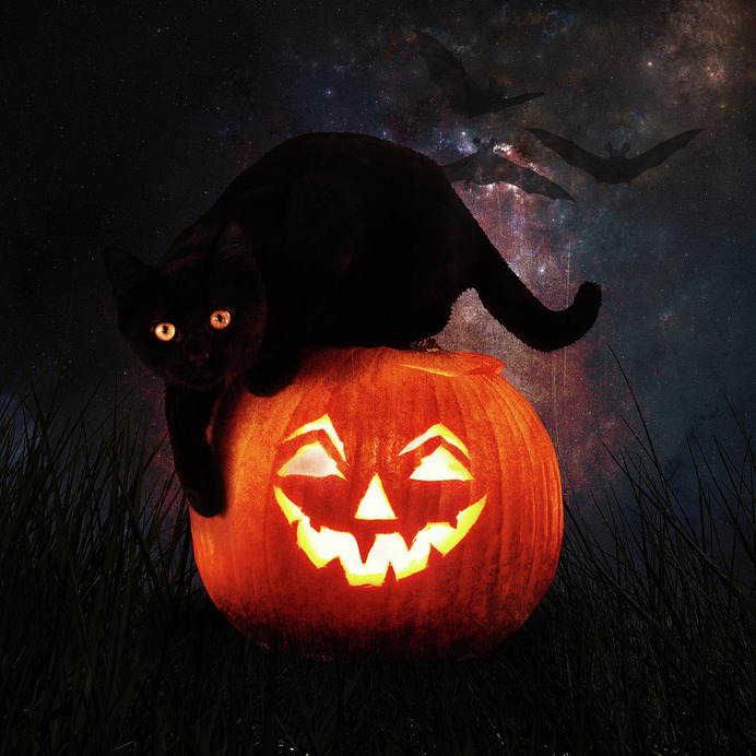beginner easy halloween paintings & paint by numbers #painting