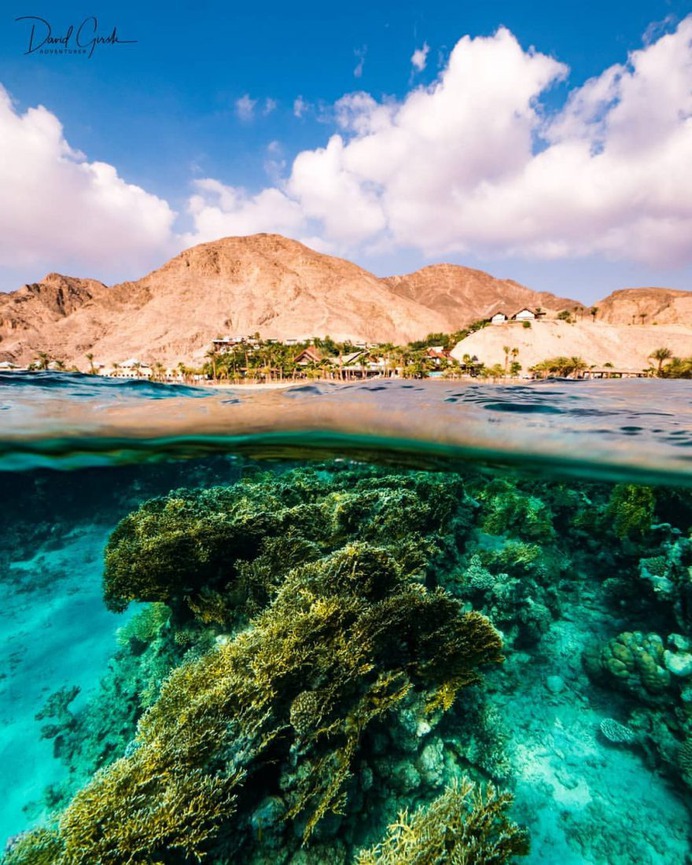 Exceptional Underwater and Ocean Photography by David Girsh