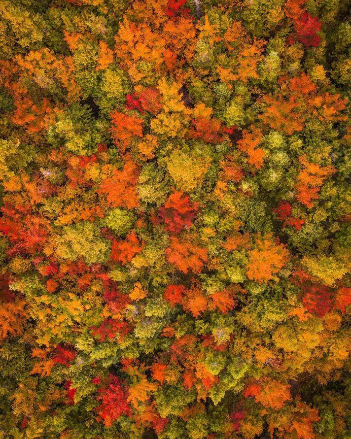 Canada From Above: Stunning Drone Photography by Tom Cochrane