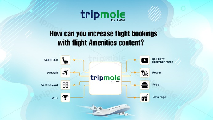 Tripmole | How can you increase flight bookings with flight Amenities content?