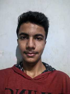 Elisha Gras movies, filmography, biography and songs - Cinestaan.com