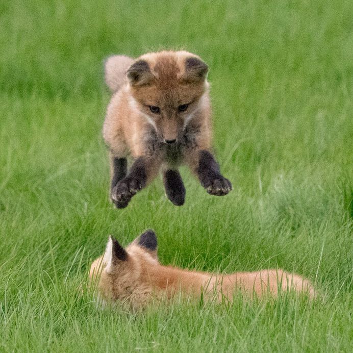 Beautiful Nature Photography by National Geographic Photographer Michael Melford