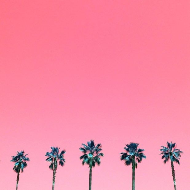 Aryton Page &ndash; INAG | I Need A Guide