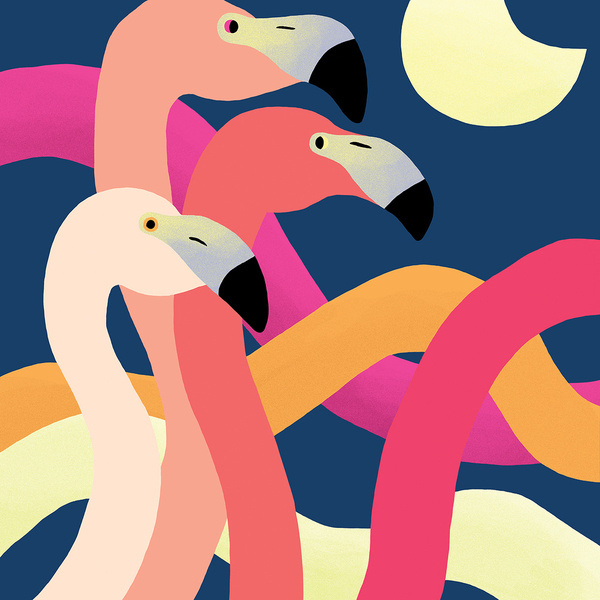 Jessica Das | Moondance #illustration #flamingos