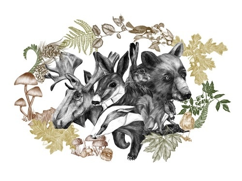 http://www.behance.net/gallery/FLOURISH IN OBSCURITY/6559515 #deer #frame #squirrel #elk #illustration #bookcover #realistic #bear #rabbit