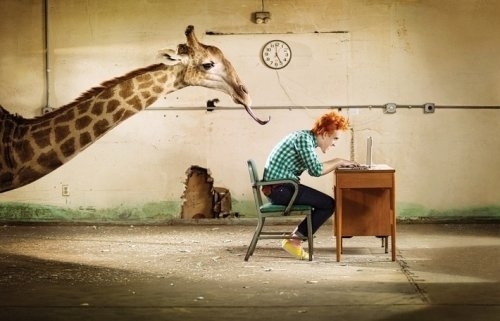 Conceptual Photography by Cade Martin » Creative Photography Blog #inspiration #photography #conceptual