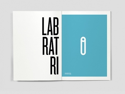 Dicionário das Ideias Feitas on the Behance Network #laboratrio #laboratory #lab #flaubert #book #dictionary #editorial