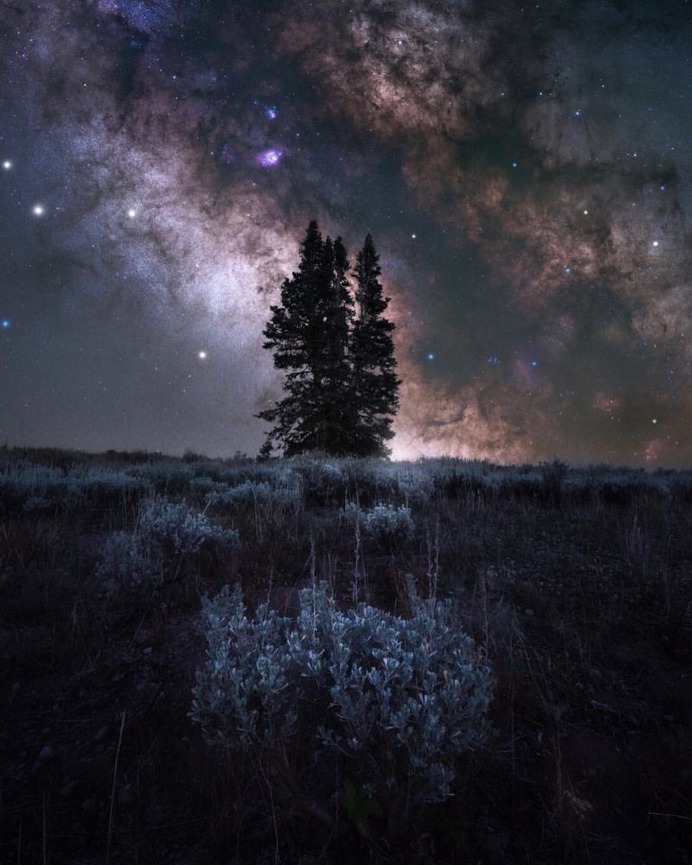 Magnificent Milky Way and Astrophotography by Dylan Knight