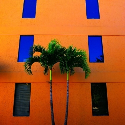 Photography by Jeremy Barton #photography