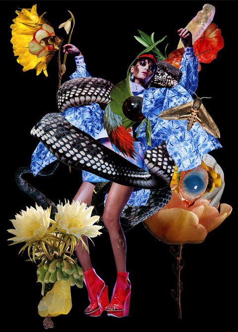 Ashkan Honarvar | PICDIT #fashion #collage #art #portrait