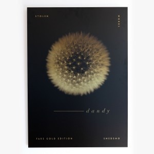 "Dandy" - From our new aluminium originals series, Fake Gold / Wrong edition. Printed on metal canvas using a deep print technique. Made in #flora #dandylion #print #illustration #frame #perspective #design #artwork #poster #gold #nordicdesign #grid #metal #fakegold #aluminium #typography #inspiration #smedsmo #black #art #shiny