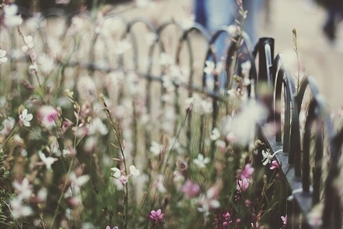 Image and webpage deleted, information not provided, http://beautiful-vintage.tumblr.com/post/5610213765