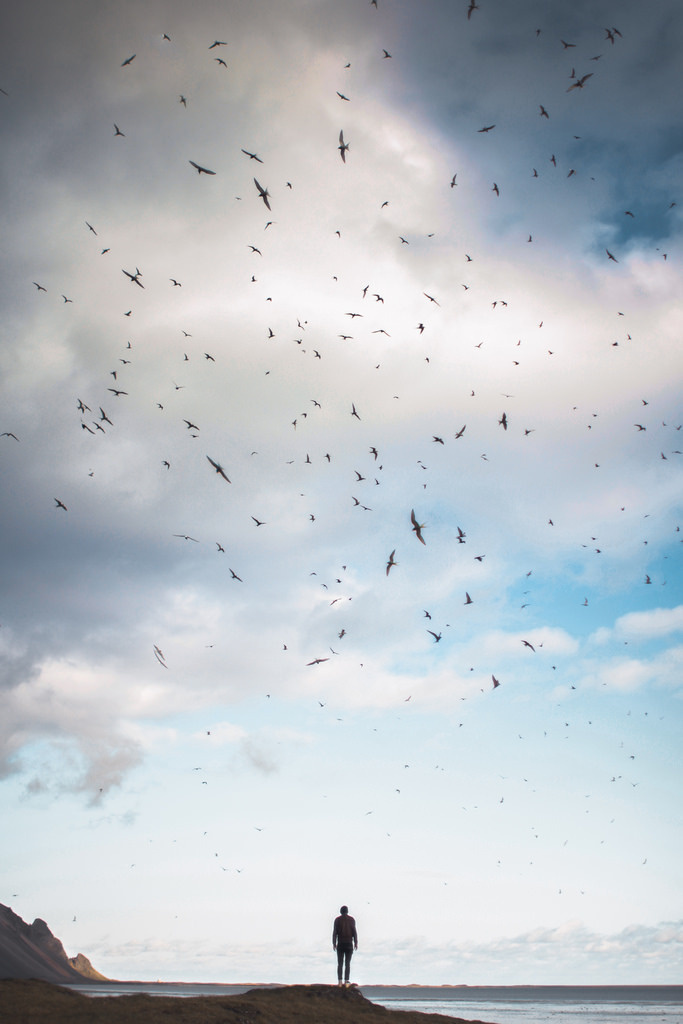 elizabeth gadd #photography