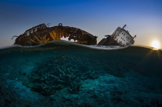 The Stunning Winners Of The 2017 Underwater Photographer Of The Year