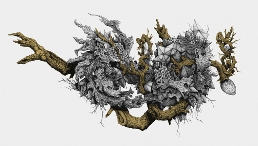 All sizes | No! | Flickr - Photo Sharing! #abstract #diggle #minerals #j #illustration #daniel #drawing #plant