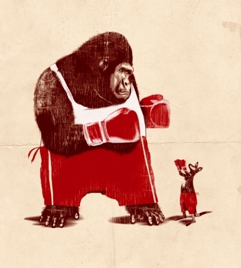 32_bravekang.jpg 495×550 pixels #kangaroo #illustration #boxing #gorilla