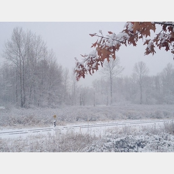 Instagram of Jennilee Marigomen #inspration #photography #art