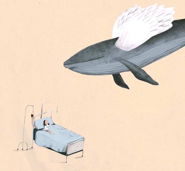 Drawings by Emily Wren