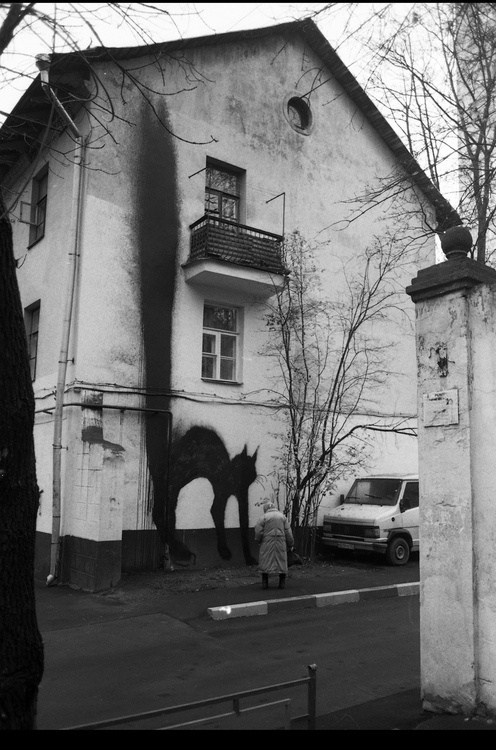 By 0331C #horror #art #street