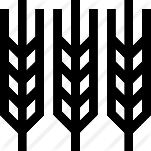 See more icon inspiration related to food and restaurant, farming and gardening, wheat plant, wheat grain, cereal, rice, seeds, supermarket, branch, cereals, grain, grains, wheat, nature and food on Flaticon.