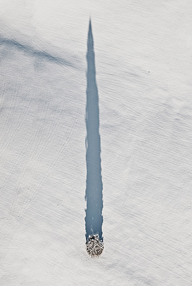 Fotografi Pemandangan Udara Musim Dingin-9 #tree #cold #snow #photography #shadow #long #ice #winter