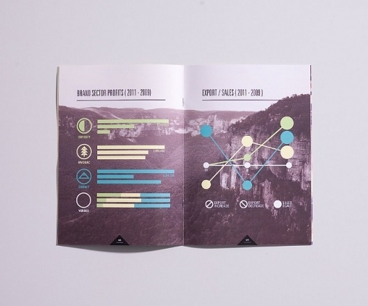 Taiga - DAVID TORR #print #annual #graph #report #booklet