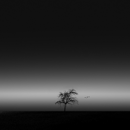 landscapes on the Behance Network #night #photography #minimal #landscape