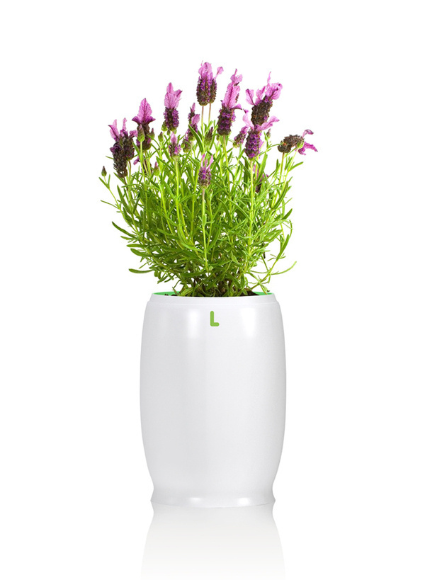 Inspired by nested Russian dolls, +5 Pots for Lots is a creative way to conserve water. Each pot has a letter indicating the size that corre #pots #plants #dolls #water #economy #spots #system #eco #watering #plant