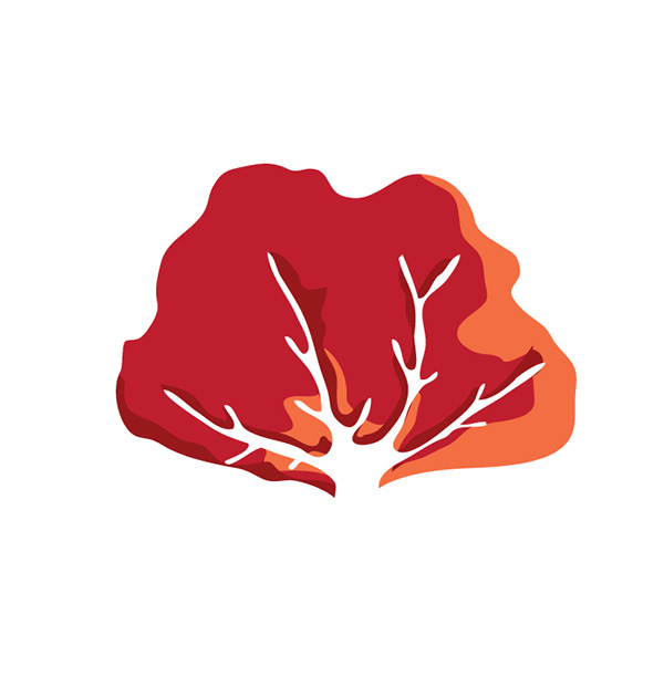 ACUARIO INBURSA - ICONOGRAFÍA on Behance #draw #reef #illustration #coral