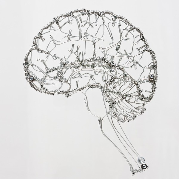 Federico Carbajal | Med in ArtMed in Art #hersenen #inspiratie
