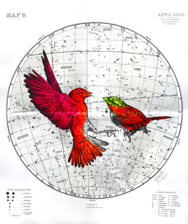 Fluorescent Mixed Media Animals by Louise McNaught #red #flight #bird