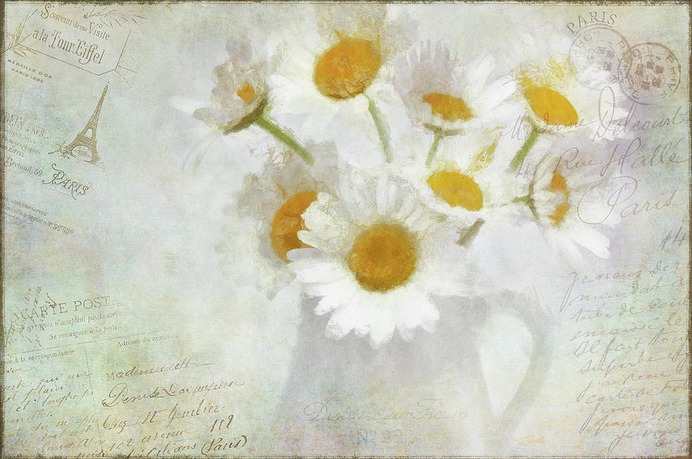daisy painting & daisy paint by number #painting
