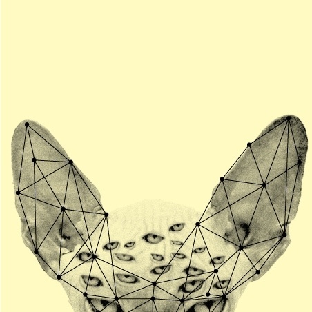 New(nju) | vbg.si - creative design studio #music #flyer #design