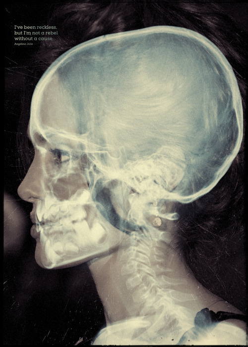 Angelina Jolie #xray #movie #quote #angelina #poster #jolie #skull