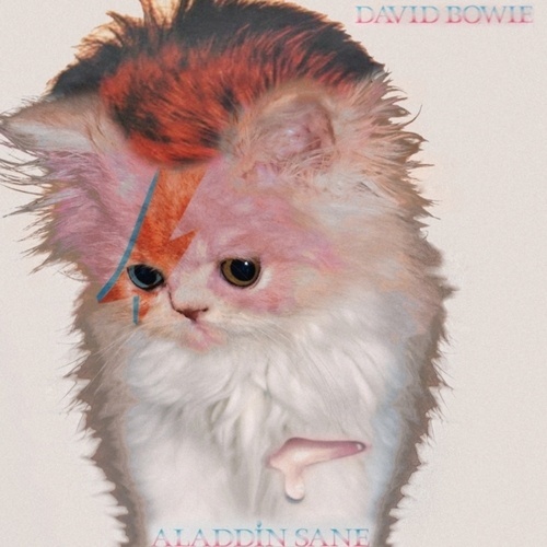 The Kitten Covers #parody #album