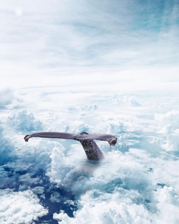 Surreal and Dreamful Photo Manipulations by Tim El-Helou