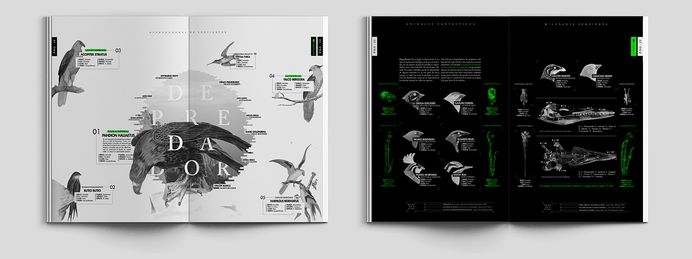 Milenaria Serpiente on Behance