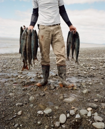 Tumblr #fishes #photography