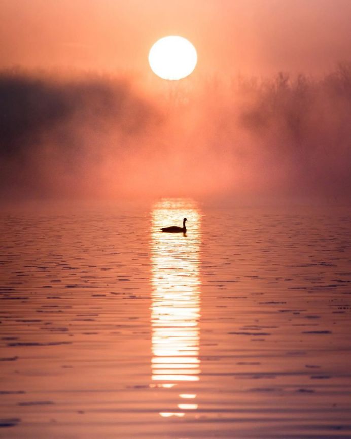 Fantastic Nature Photography by Logan Brown