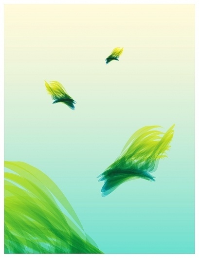 Visions | Part I of II on the Behance Network #abstract #vector #vision #fish