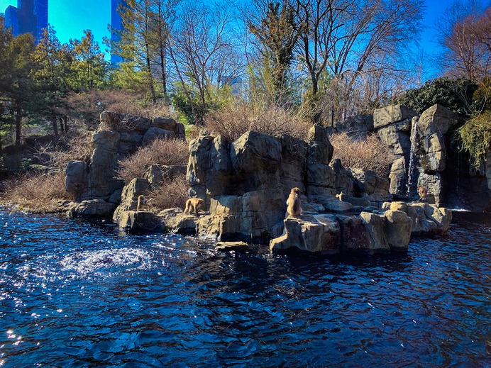 Central Park