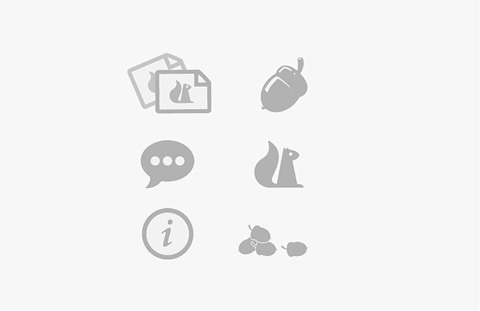 FFFFOUND! | 6.png 740×480 pixels #squirrel #icons #dhnn