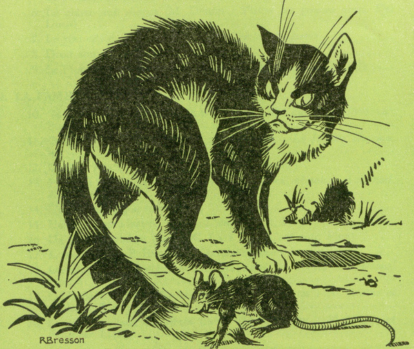 Poltergeist Î" #rat #cat #and