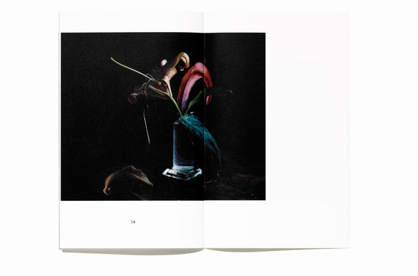 Bedow — Examples of Work — Book, Julia Hetta #flower #photography