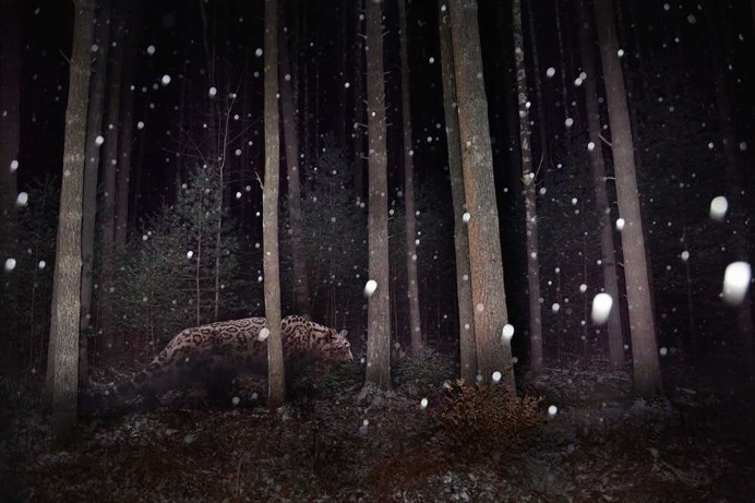 Beautiful and Dreamlike Photography by Isabella Stahl