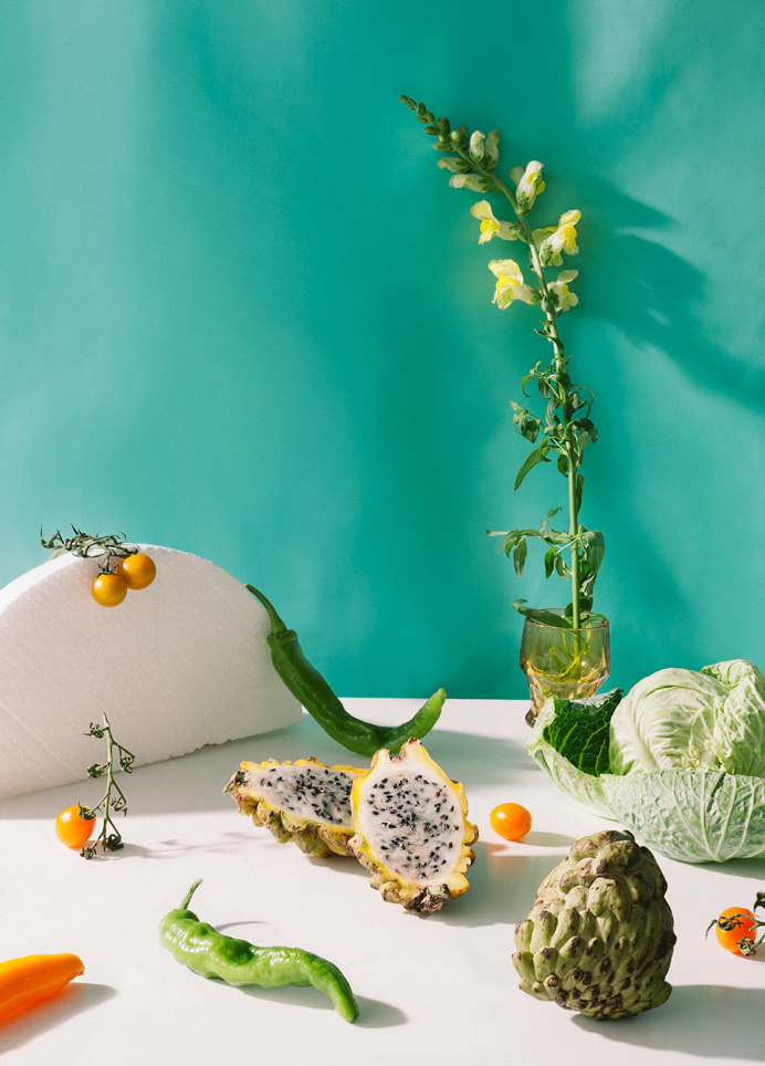 Still Life's 'Arrangements' By Melissa Gamache | Trendland