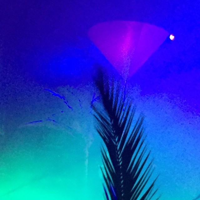 #Instagram