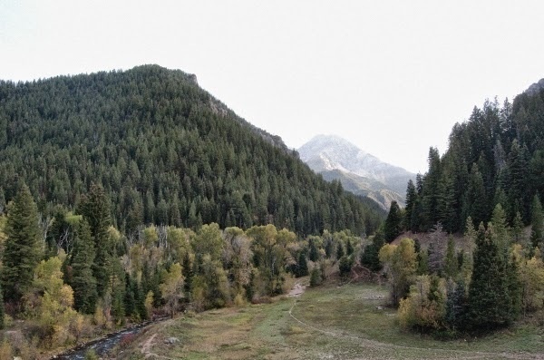 West end girl #tree #nature #mountains #valley #green