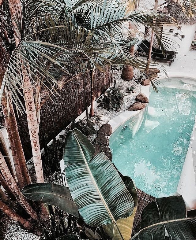Paradise Home